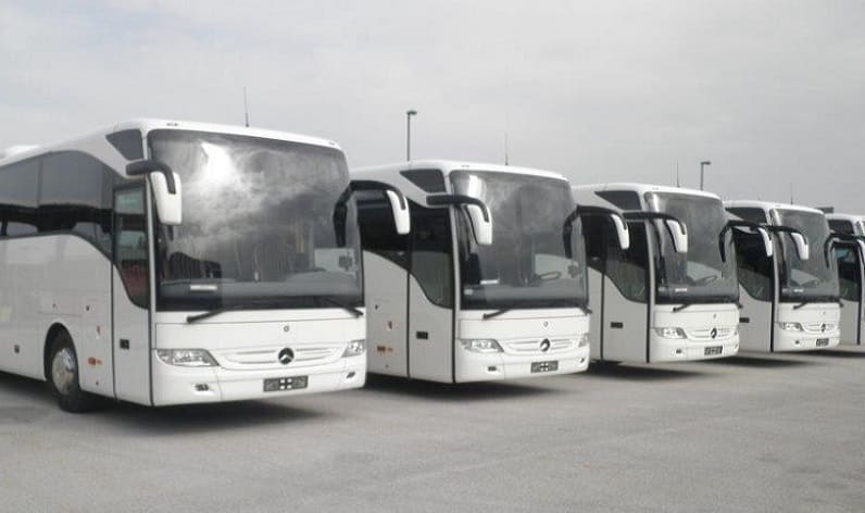 North Brabant: Bus company in Den Bosch in Den Bosch and Netherlands