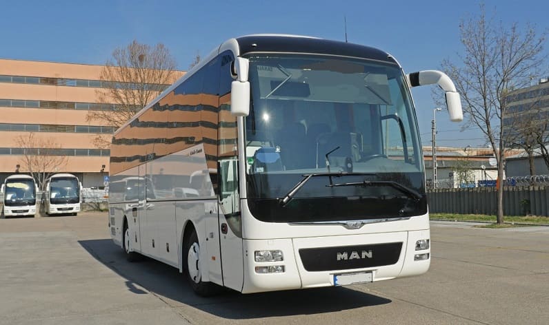 Gelderland: Buses operator in Nimeguen in Nimeguen and Netherlands